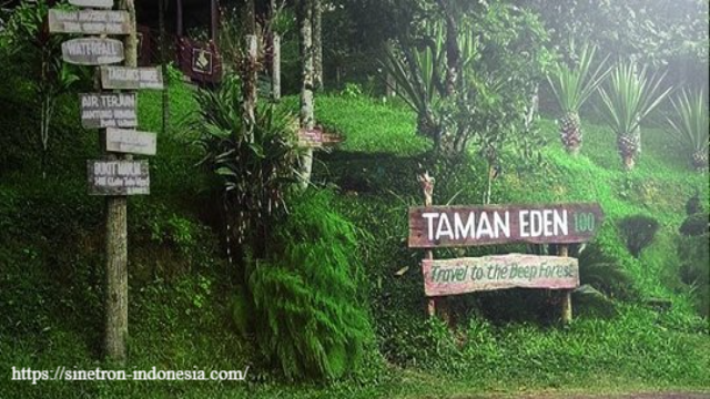 Wisata Taman Eden: Surga Tersembunyi di Sumatera Utara